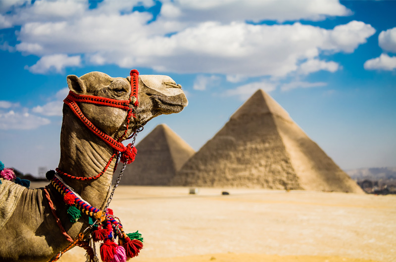 Egiptas/ Marsa Alamas 5* HOTELUX ORIENTAL DREAMS RESORT
